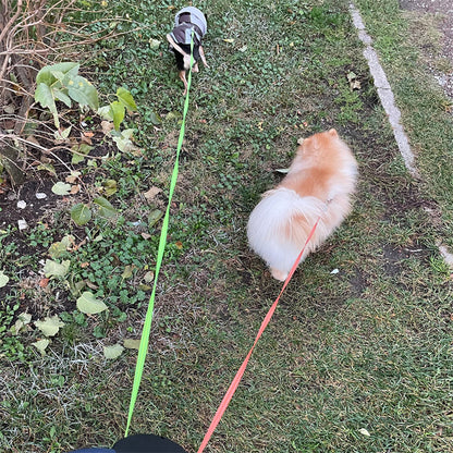 Dual Retractable Dog Leash with LED Light — Walk 2 Dogs, Zero Tangles
