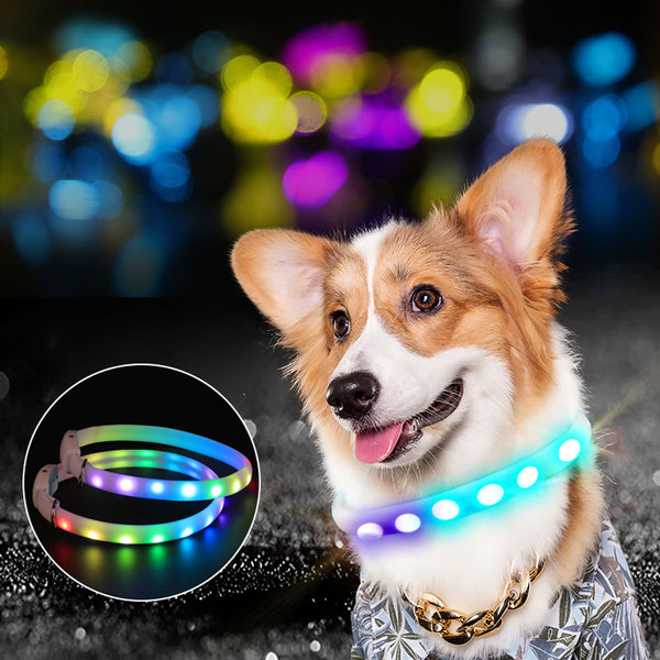 LED Dog Collar Rechargeable USB — Night Safety Light-Up Collar